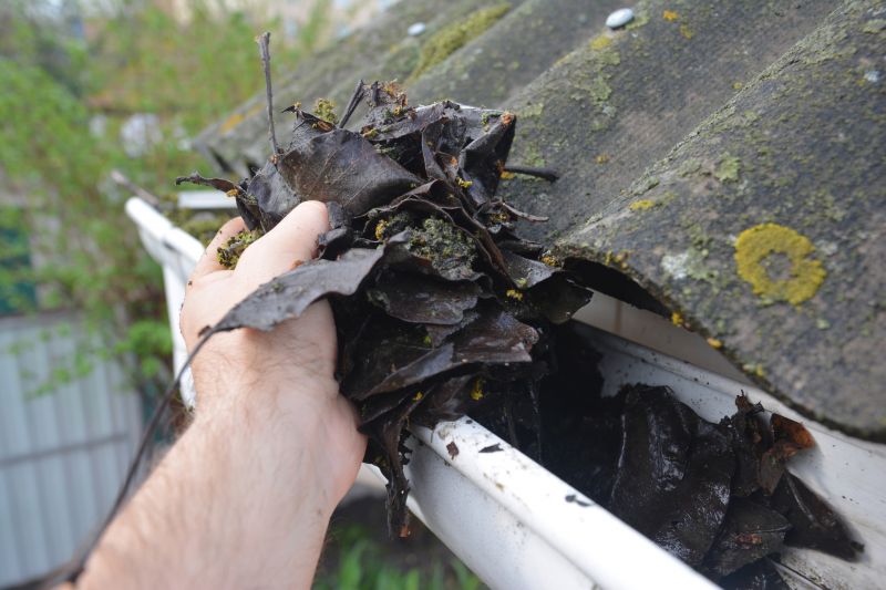 Gutter Cleaning in Fredericksburg, VA
