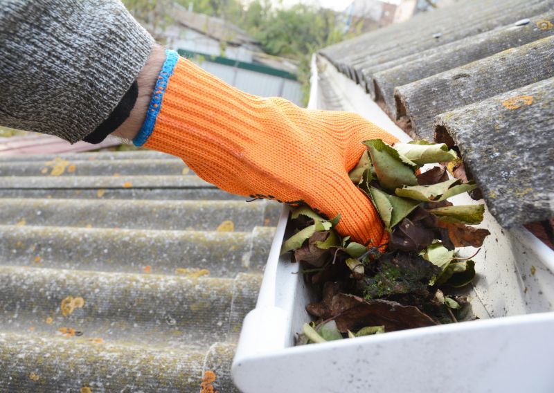 Gutter Leaves Removal in Rochester, NY