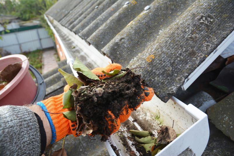 Rain Gutter Clearing in Longmont, CO