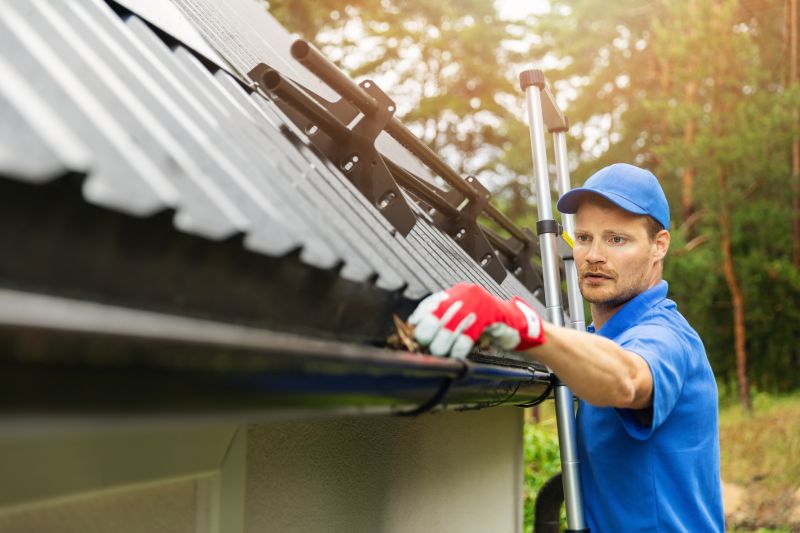 Roof Gutter Cleaning in Baltimore, MD